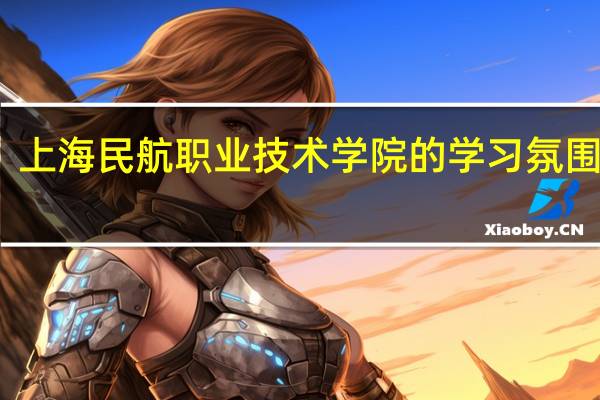 上海民航职业技术学院的学习氛围如何