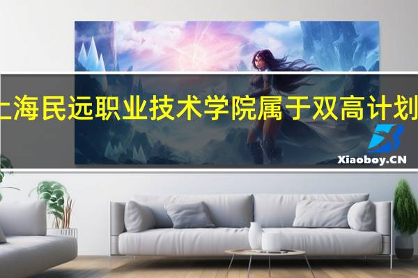 上海民远职业技术学院属于双高计划院校吗