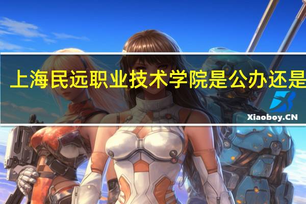 上海民远职业技术学院是公办还是民办