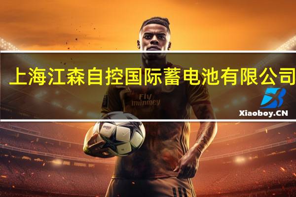 上海江森自控国际蓄电池有限公司简介