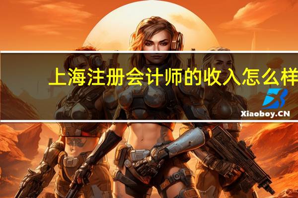 上海注册会计师的收入怎么样