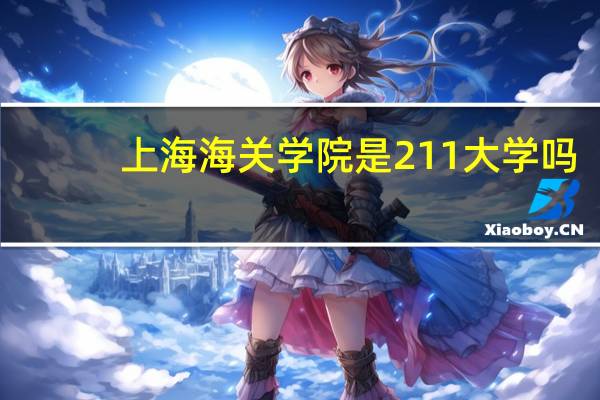 上海海关学院是211大学吗