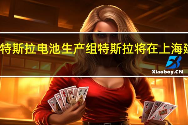 上海特斯拉电池生产组 特斯拉将在上海建第二工厂