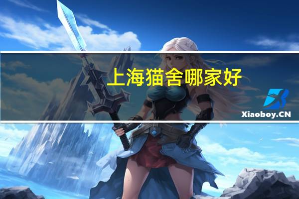 上海猫舍哪家好
