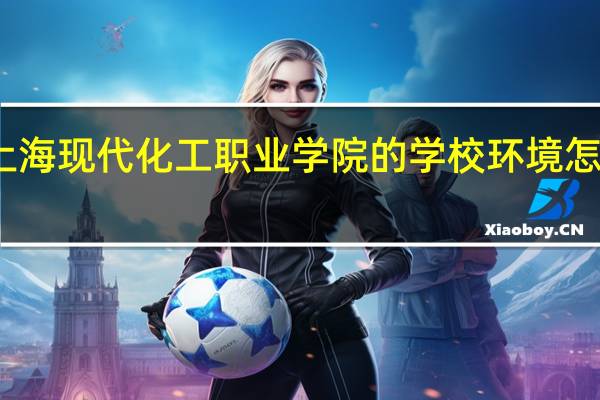 上海现代化工职业学院的学校环境怎么样啊