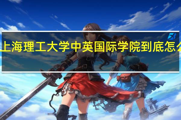 上海理工大学中英国际学院到底怎么样阿