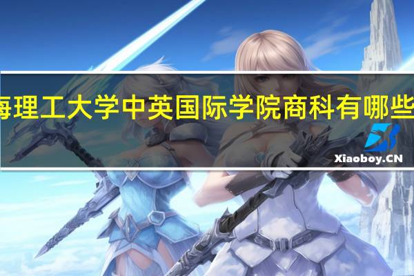 上海理工大学中英国际学院商科有哪些专业设置