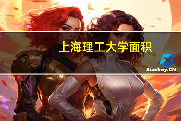 上海理工大学面积