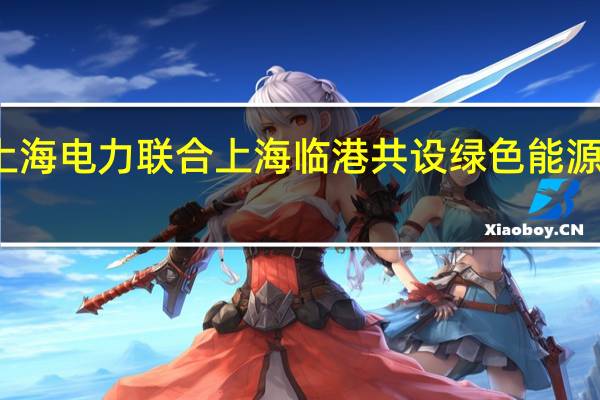 上海电力联合上海临港共设绿色能源新公司