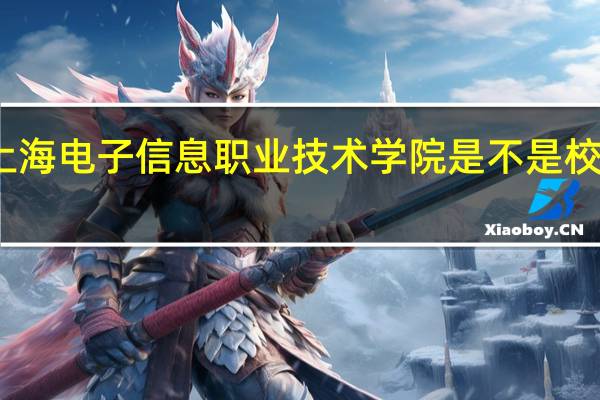 上海电子信息职业技术学院是不是校风很差，学校里很乱