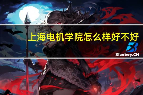 上海电机学院怎么样好不好