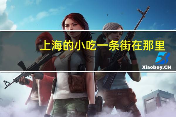 上海的小吃一条街在那里