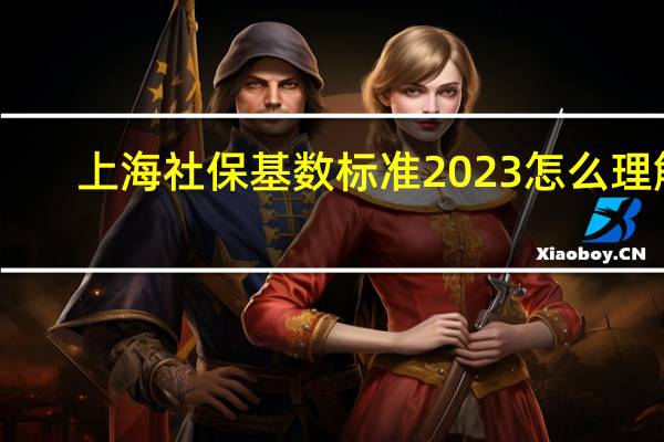 上海社保基数标准2023怎么理解