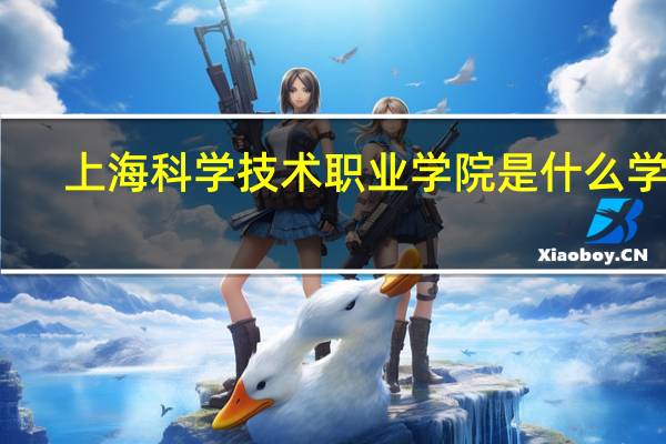 上海科学技术职业学院是什么学校