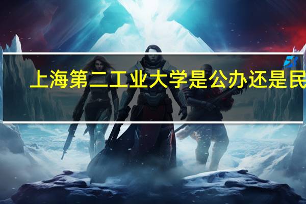 上海第二工业大学是公办还是民办