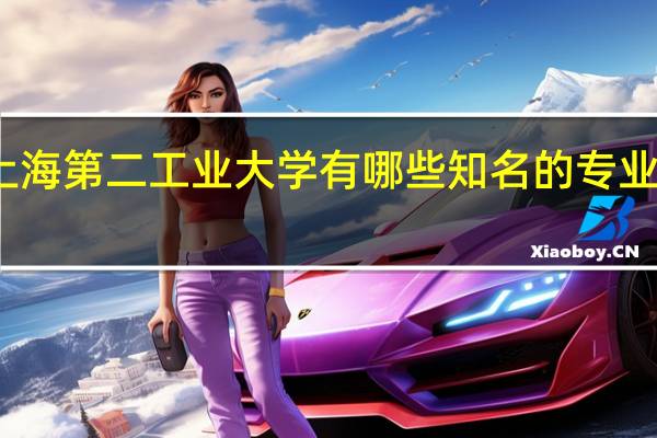 上海第二工业大学有哪些知名的专业和学科