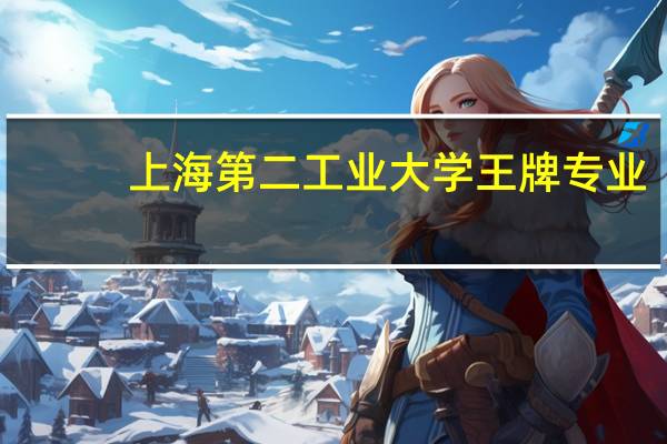 上海第二工业大学王牌专业