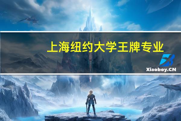 上海纽约大学王牌专业