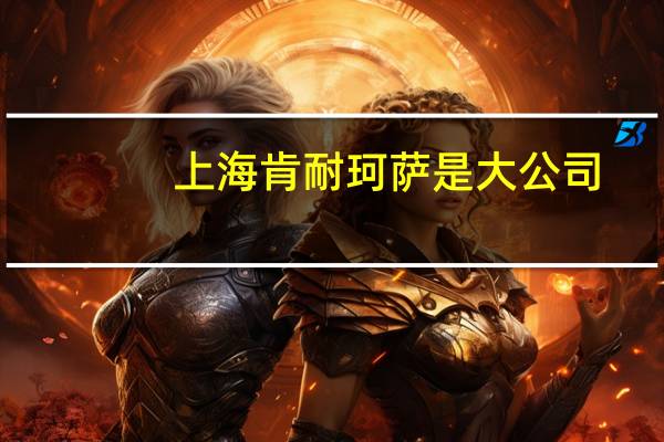 上海肯耐珂萨是大公司（沈健-上海肯耐珂萨人力资源科技股份有限公司CEO介绍）