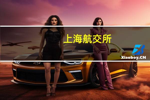 上海航交所:本周中国出口集装箱运输市场基本保持稳定