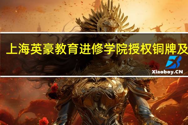 上海英豪教育进修学院授权铜牌及荣誉