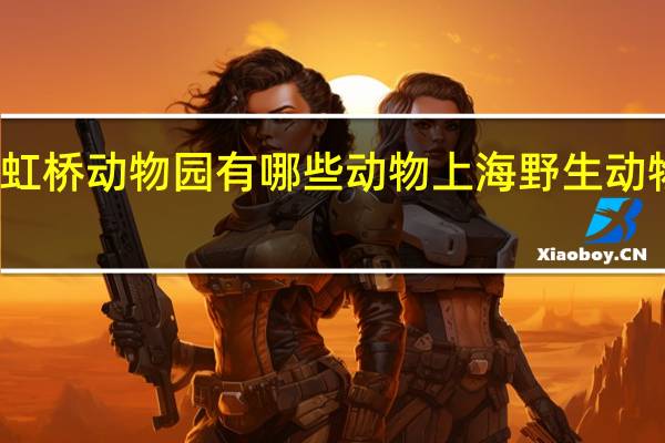 上海虹桥动物园有哪些动物 上海野生动物园熊吃人