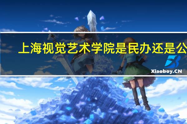 上海视觉艺术学院是民办还是公办