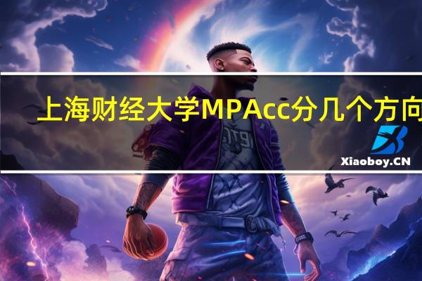 上海财经大学MPAcc分几个方向呢