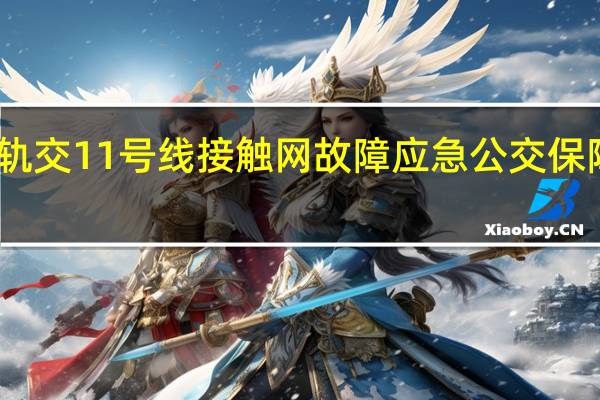 上海轨交11号线接触网故障 应急公交保障乘客疏散