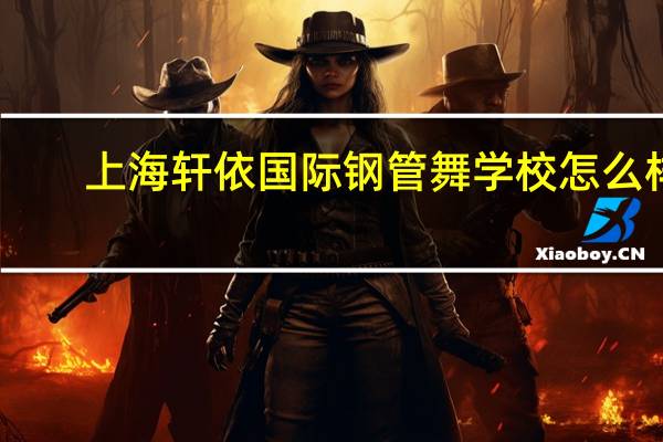 上海轩依国际钢管舞学校怎么样