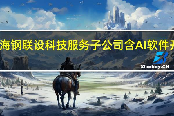 上海钢联设科技服务子公司含AI软件开发业务