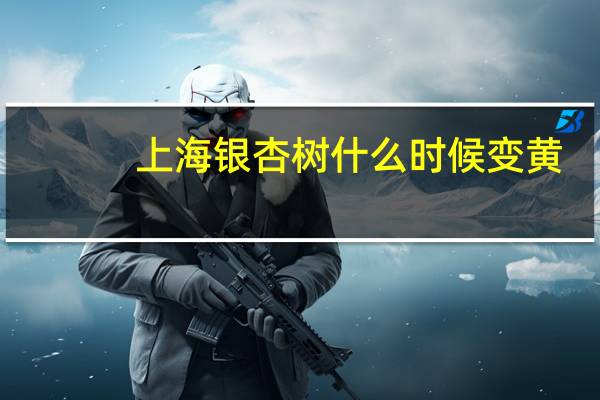 上海银杏树什么时候变黄