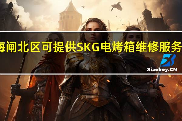 上海闸北区可提供SKG电烤箱维修服务地址在哪