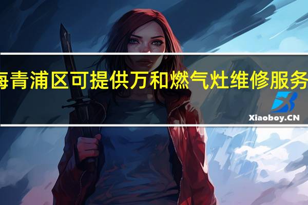 上海青浦区可提供万和燃气灶维修服务地址在哪