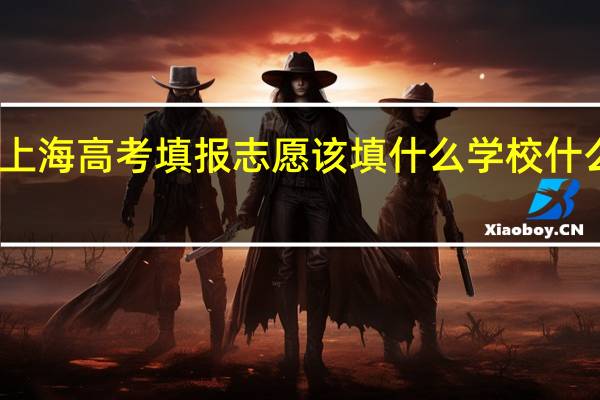 上海高考填报志愿该填什么学校什么专业