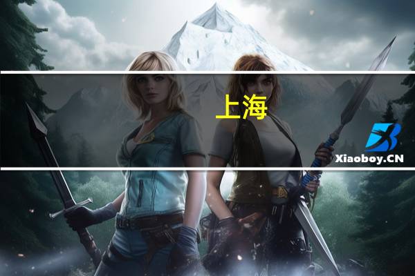 上海：实施大模型智能算力加速计划