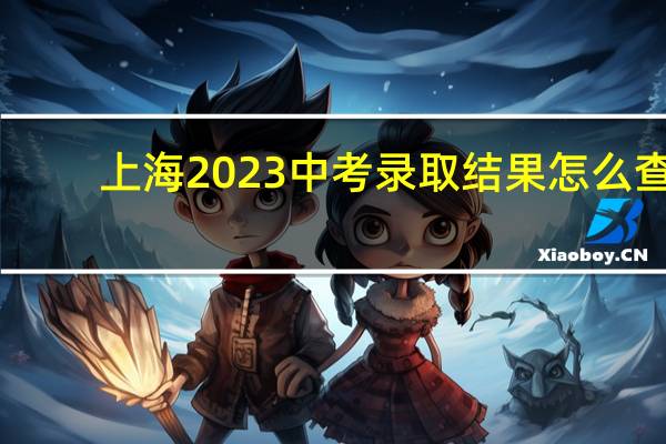 上海2023中考录取结果怎么查