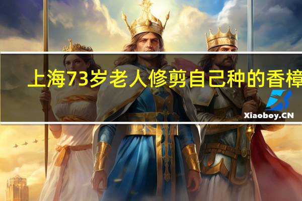 上海73岁老人修剪自己种的香樟树，被罚款14万元，其处罚的理由是什么
