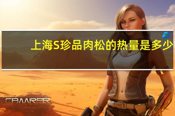 上海S 珍品肉松的热量是多少