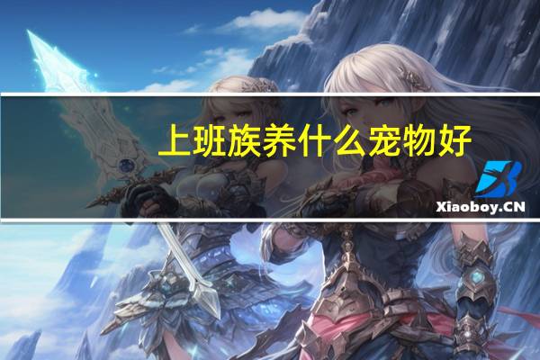 上班族养什么宠物好