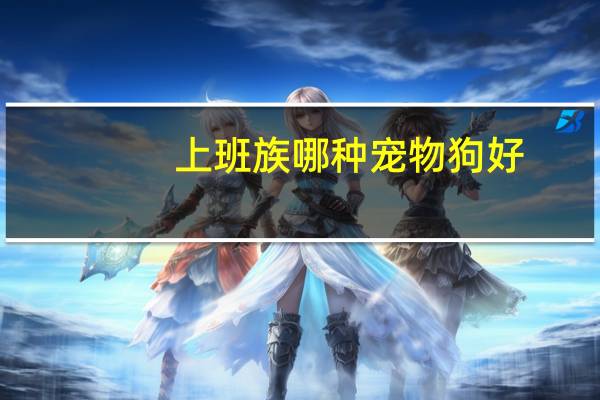 上班族哪种宠物狗好