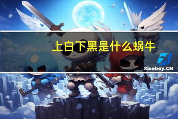 上白下黑是什么蜗牛
