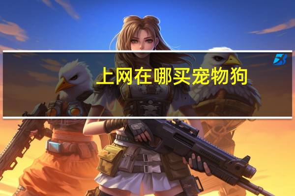 上网在哪买宠物狗