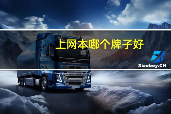 上网本哪个牌子好（上网本哪个牌子好）
