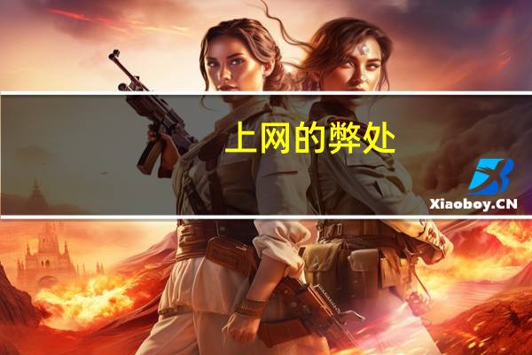 上网的弊处（上网的利与弊）