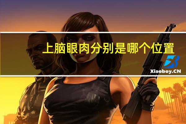 上脑眼肉分别是哪个位置