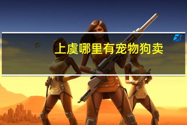 上虞哪里有宠物狗卖