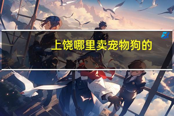 上饶哪里卖宠物狗的