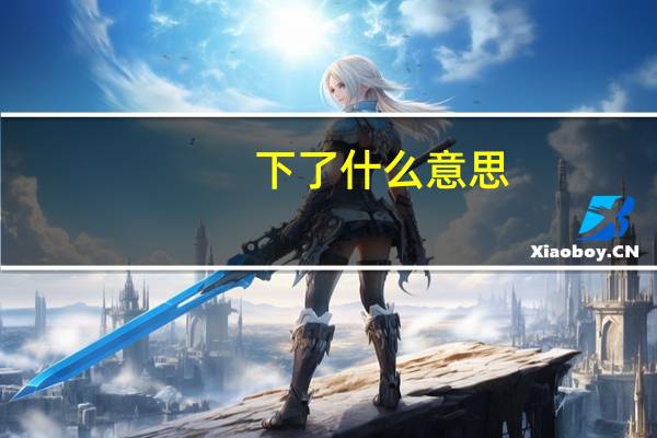 下了什么意思