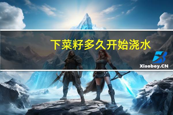 下菜籽多久开始浇水